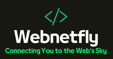 Webnetfly Company
